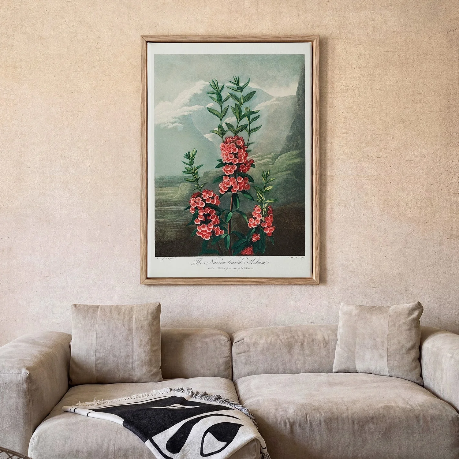 Kalmia from The Temple of Flora - Image 2