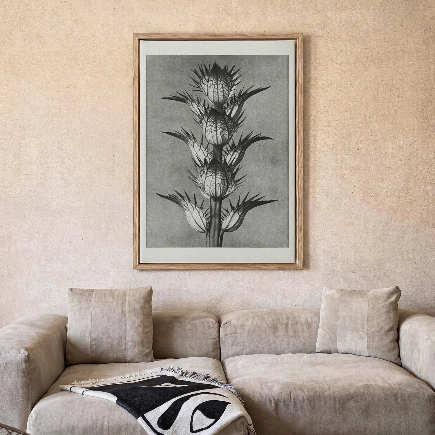 Karl Blossfeldt Photogravure Nr 101 - Image 2