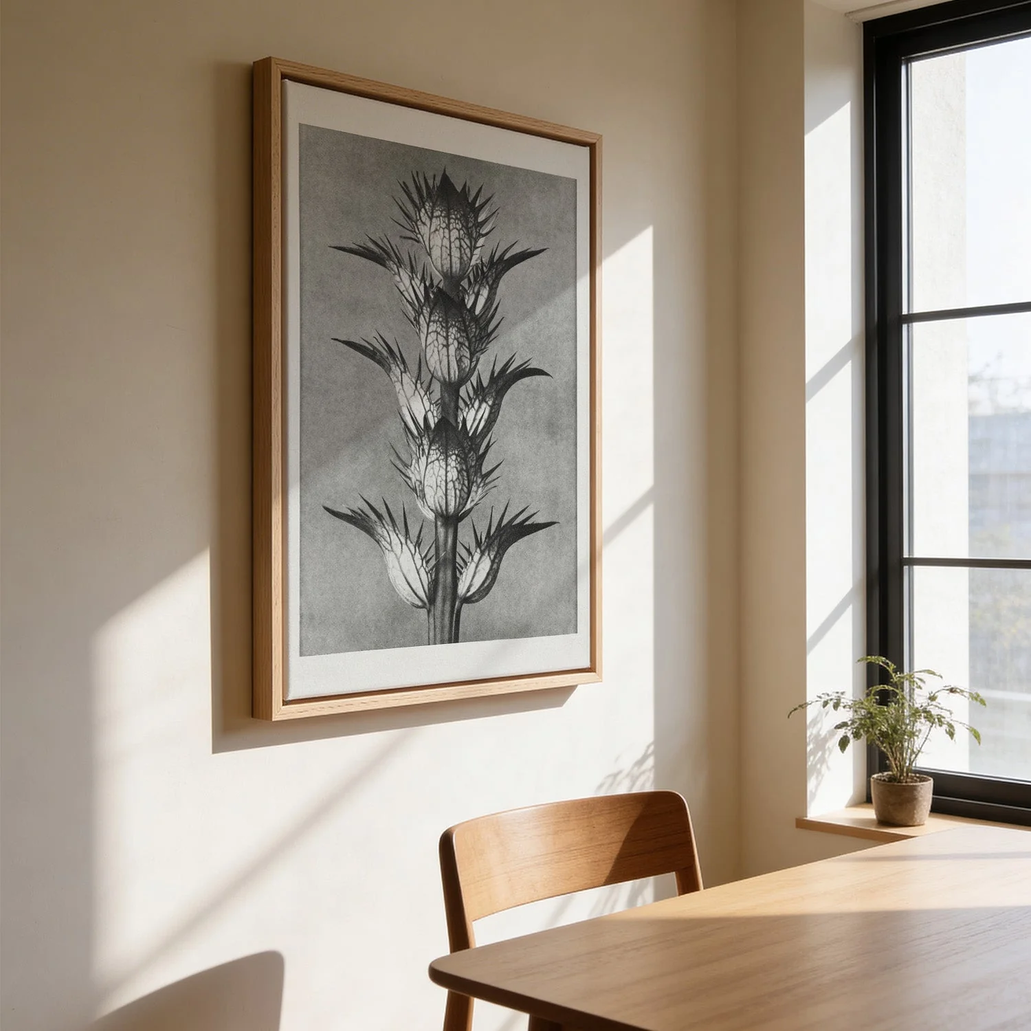 Karl Blossfeldt Photogravure Nr 101 - Image 3