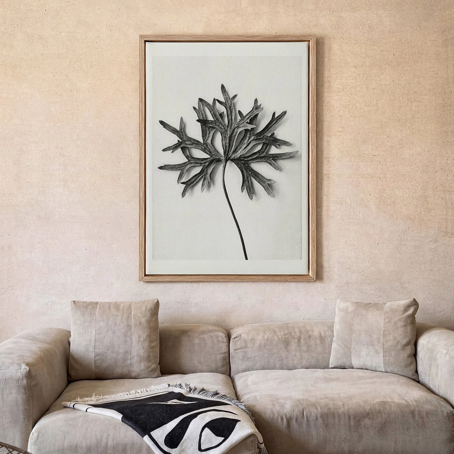 Karl Blossfeldt Photogravure Nr 103 - Image 2