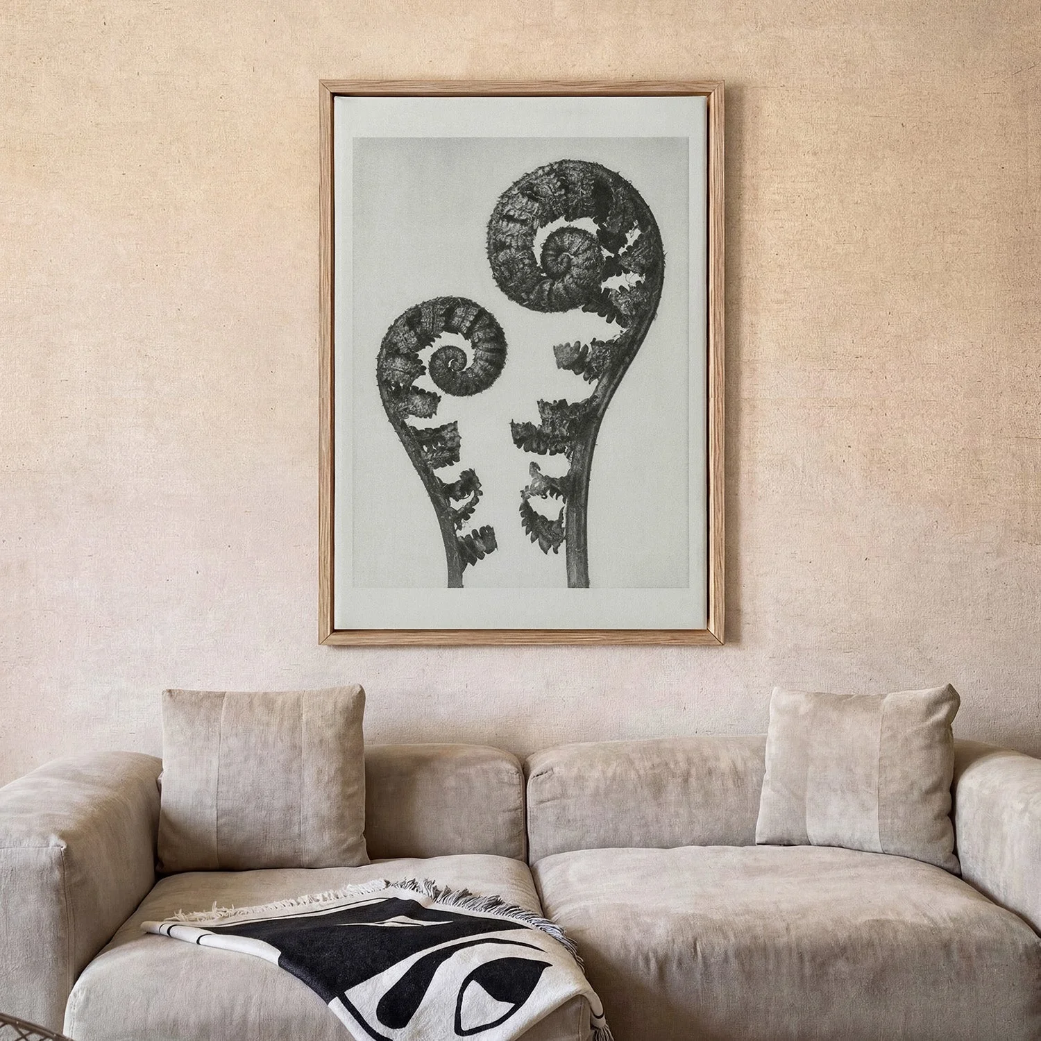 Karl Blossfeldt Photogravure Nr 109 - Image 2