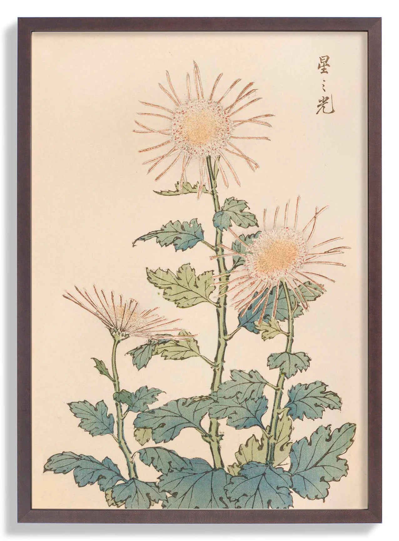 Keika hyakugiku Pl.04 by Keika Hosegawa - Image 6