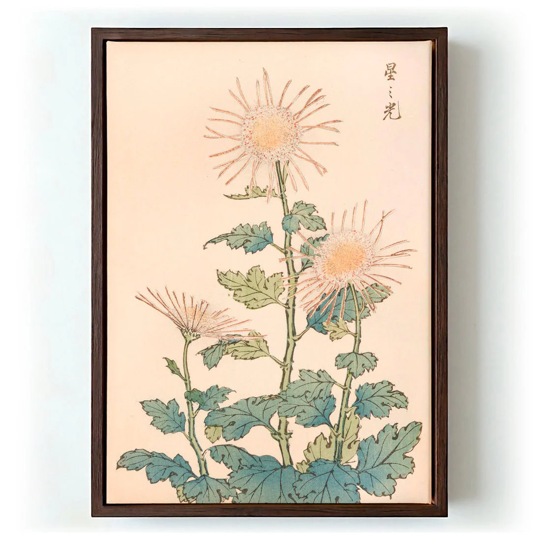 Keika hyakugiku Pl.04 by Keika Hosegawa - Image 6