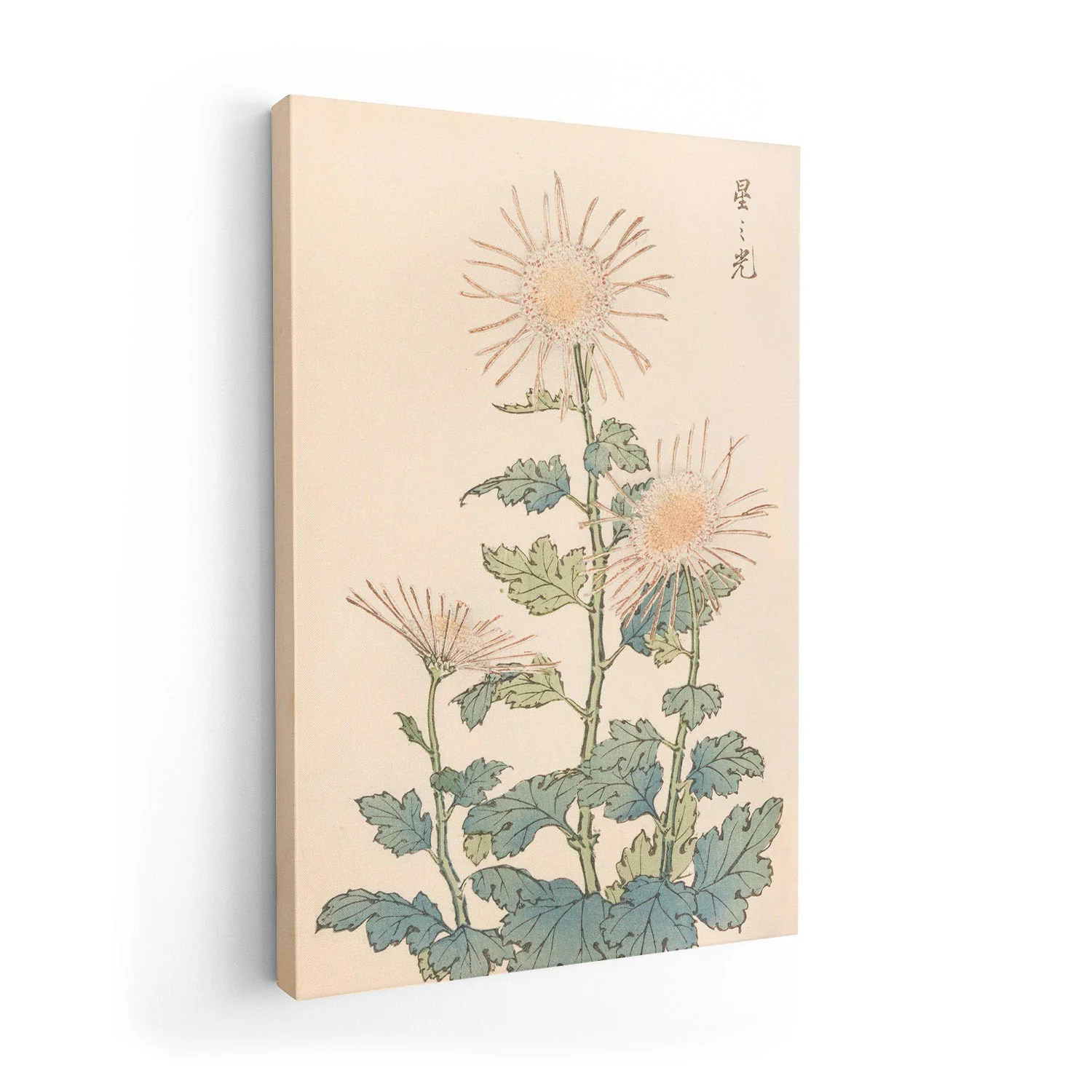Keika hyakugiku Pl.04 by Keika Hosegawa - Image 7