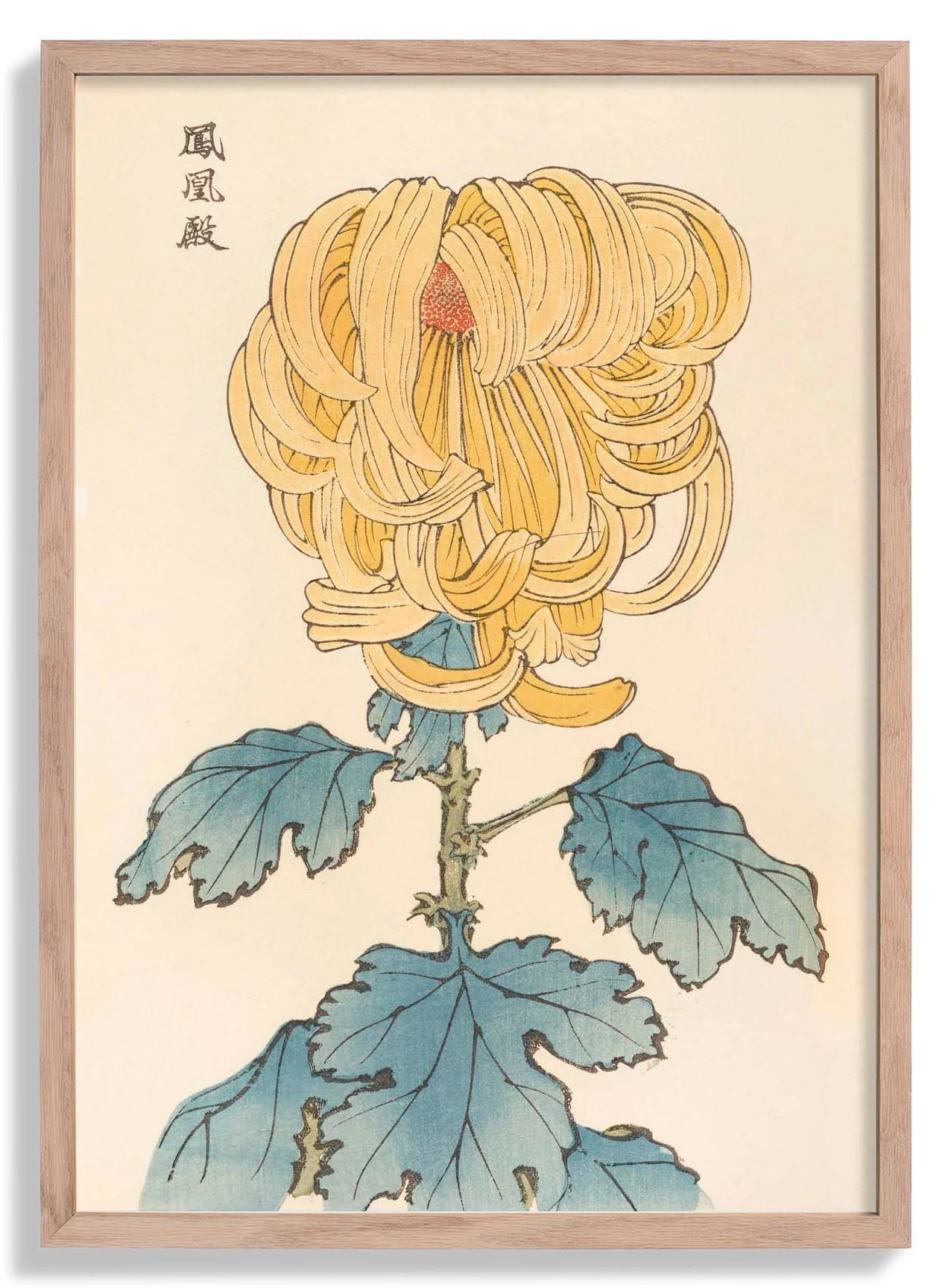 Keika hyakugiku Pl.07 1893 by Keika Hosegawa