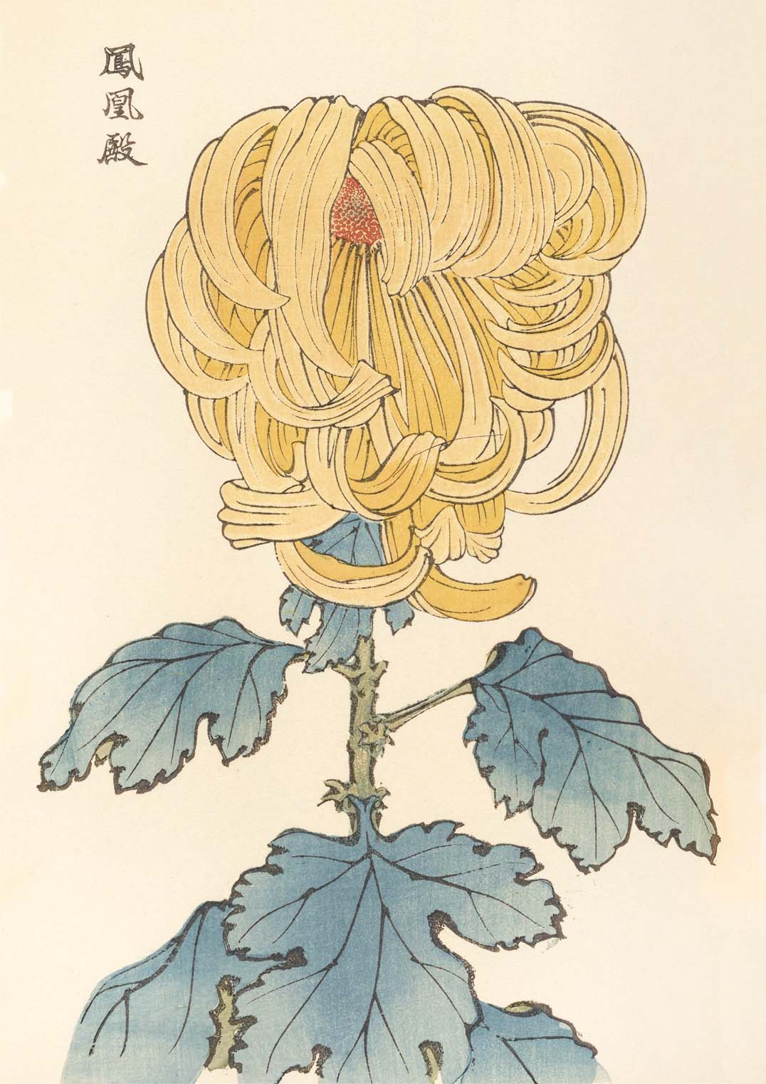Keika hyakugiku Pl.07 1893 by Keika Hosegawa - Image 8