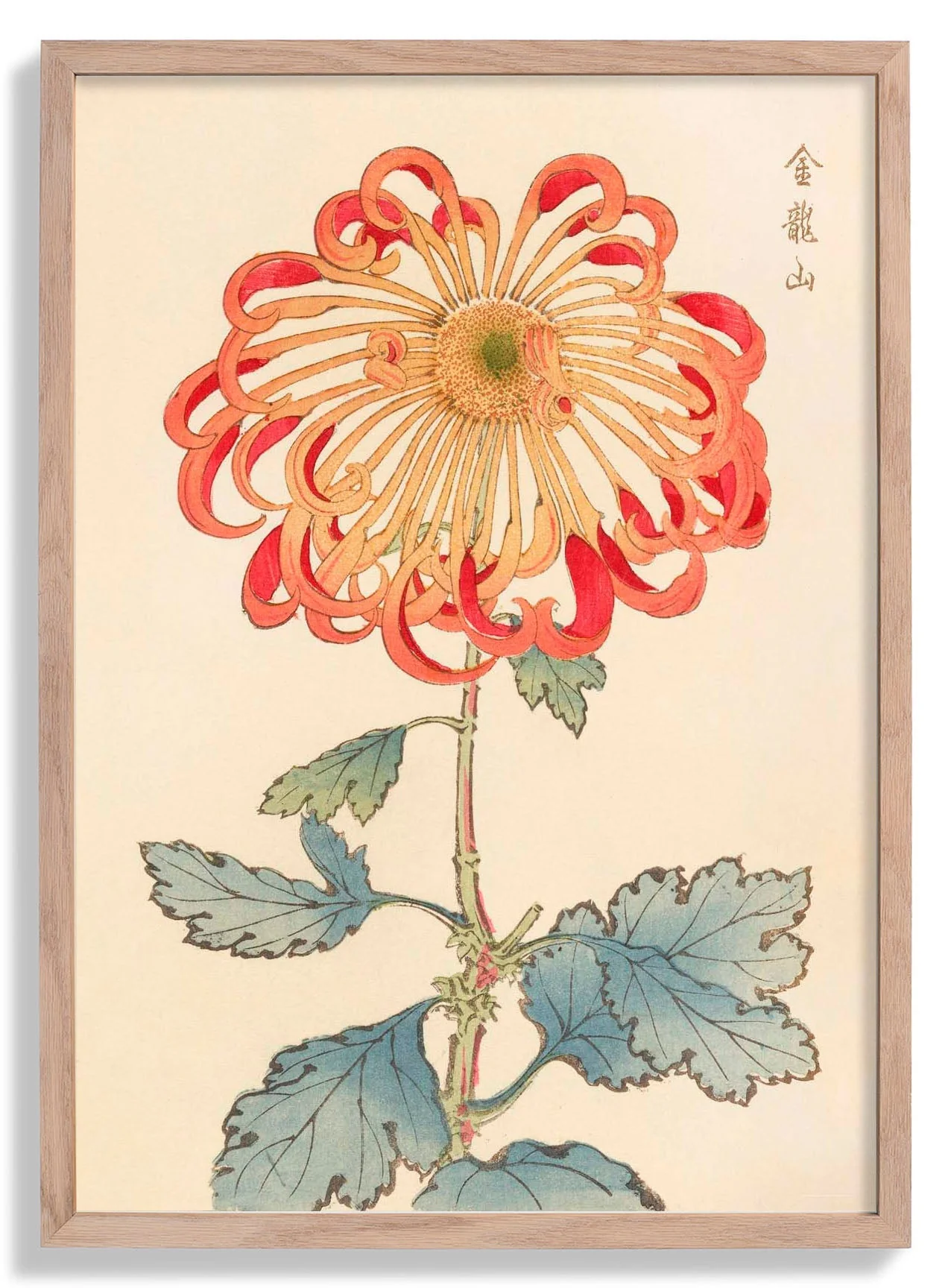 Keika hyakugiku Pl.08 1893 by Keika Hosegawa