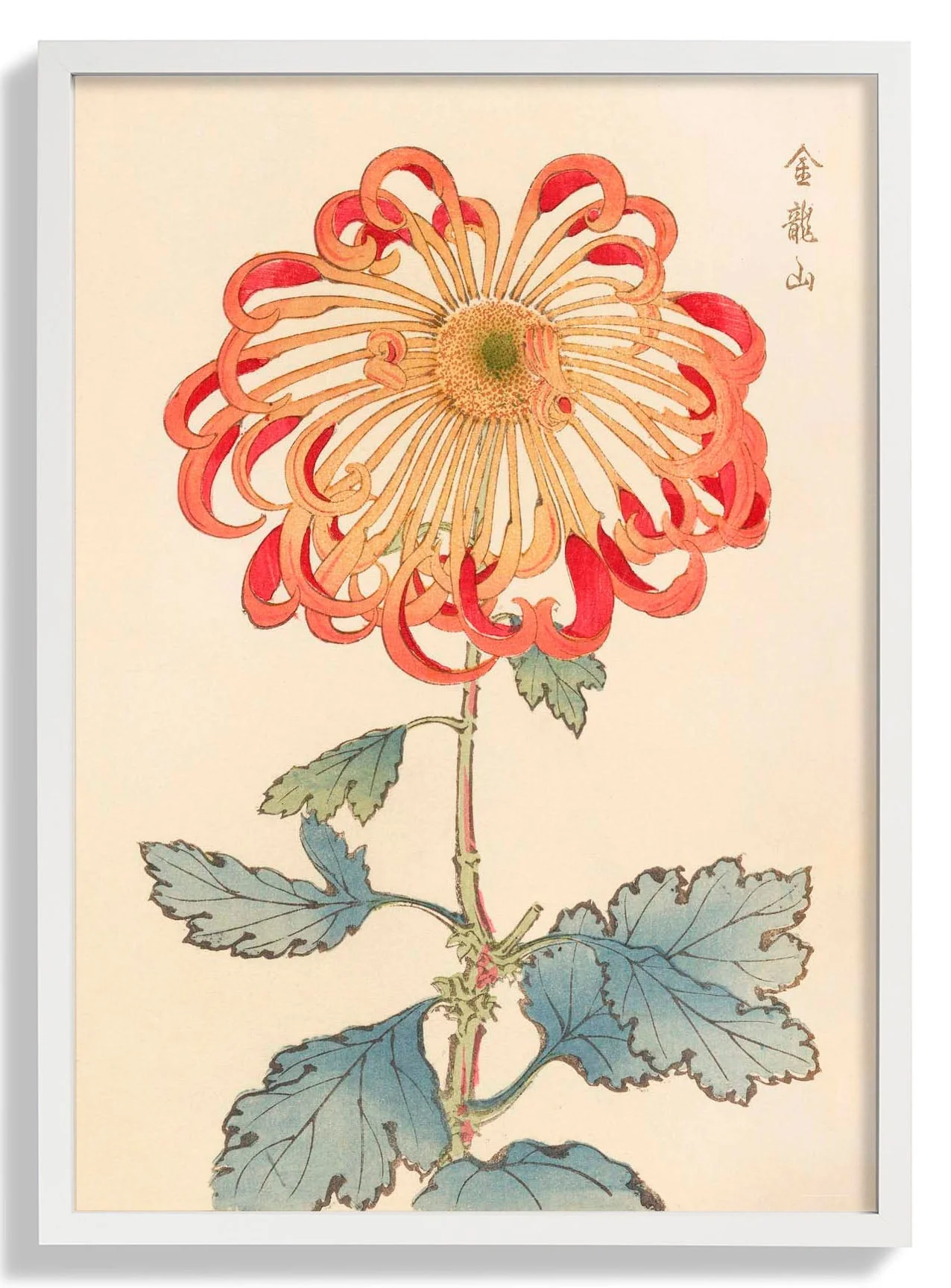 Keika hyakugiku Pl.08 1893 by Keika Hosegawa - Image 5