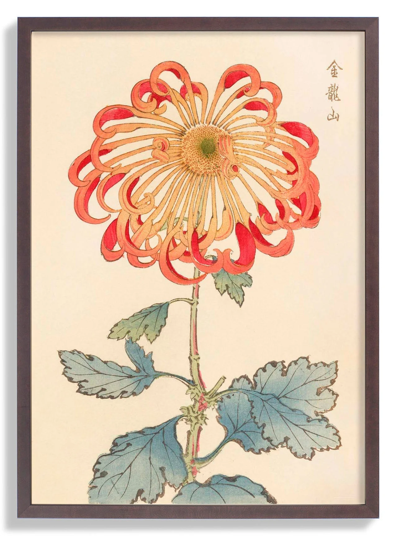 Keika hyakugiku Pl.08 1893 by Keika Hosegawa - Image 6