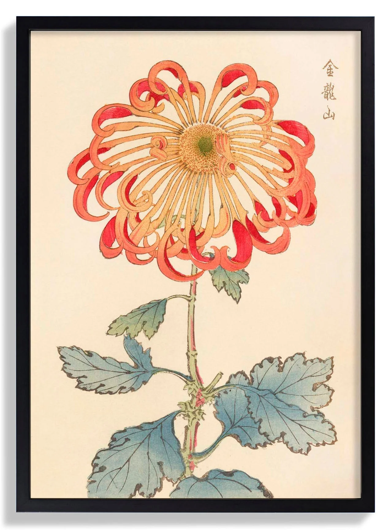 Keika hyakugiku Pl.08 1893 by Keika Hosegawa - Image 7