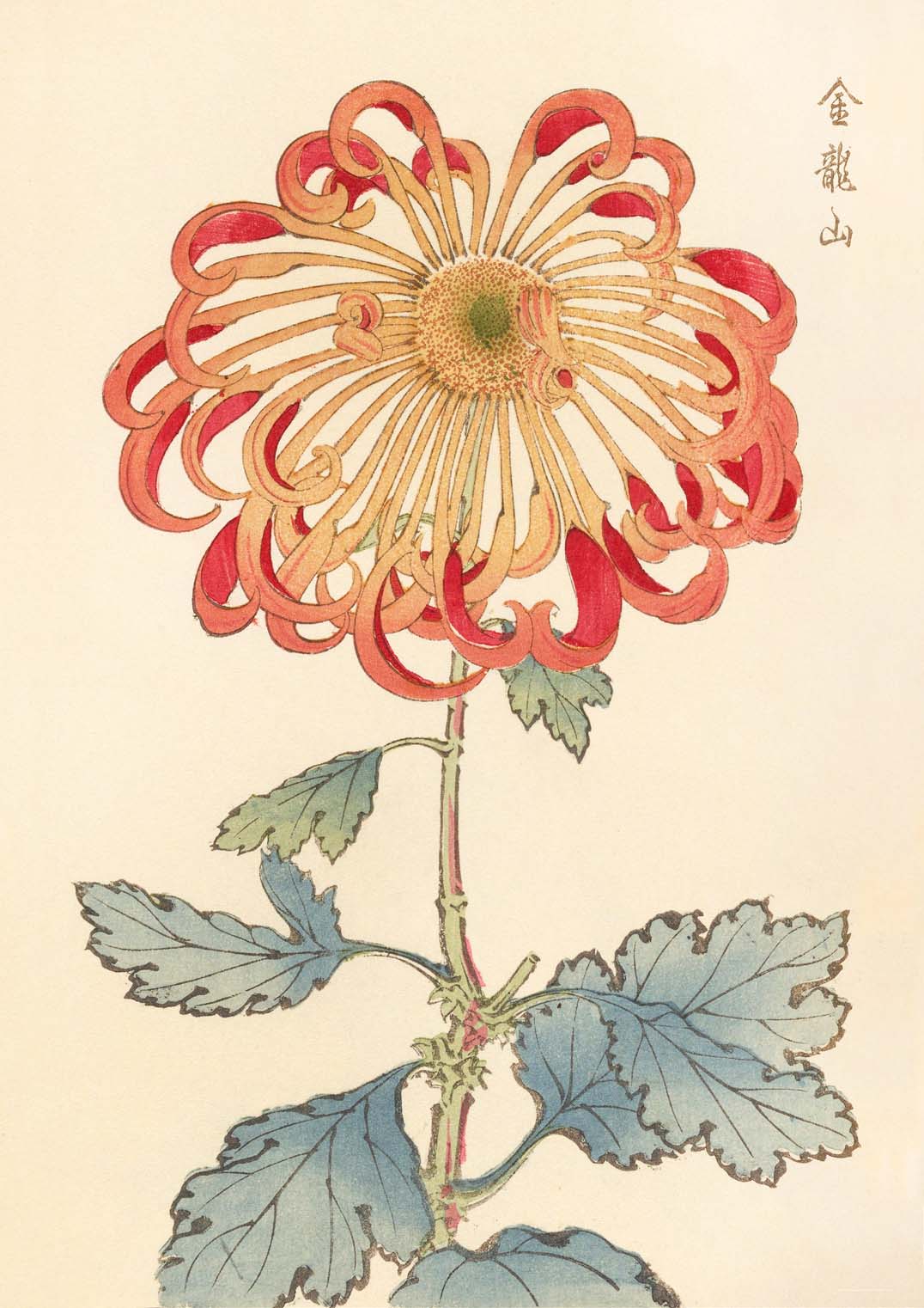 Keika hyakugiku Pl.08 1893 by Keika Hosegawa - Image 8