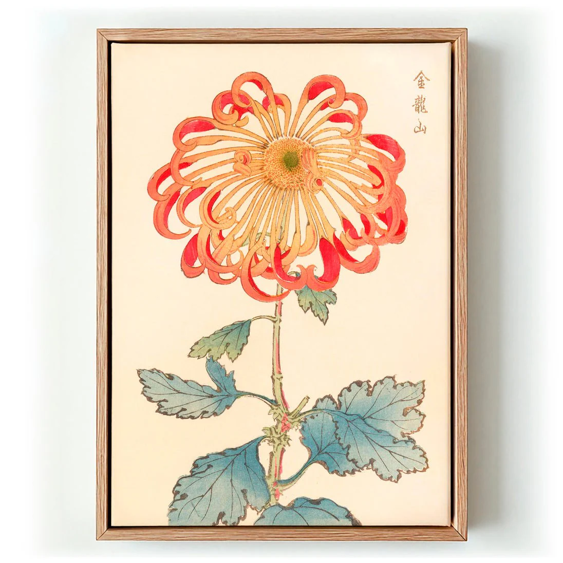Keika hyakugiku Pl.08 1893 by Keika Hosegawa