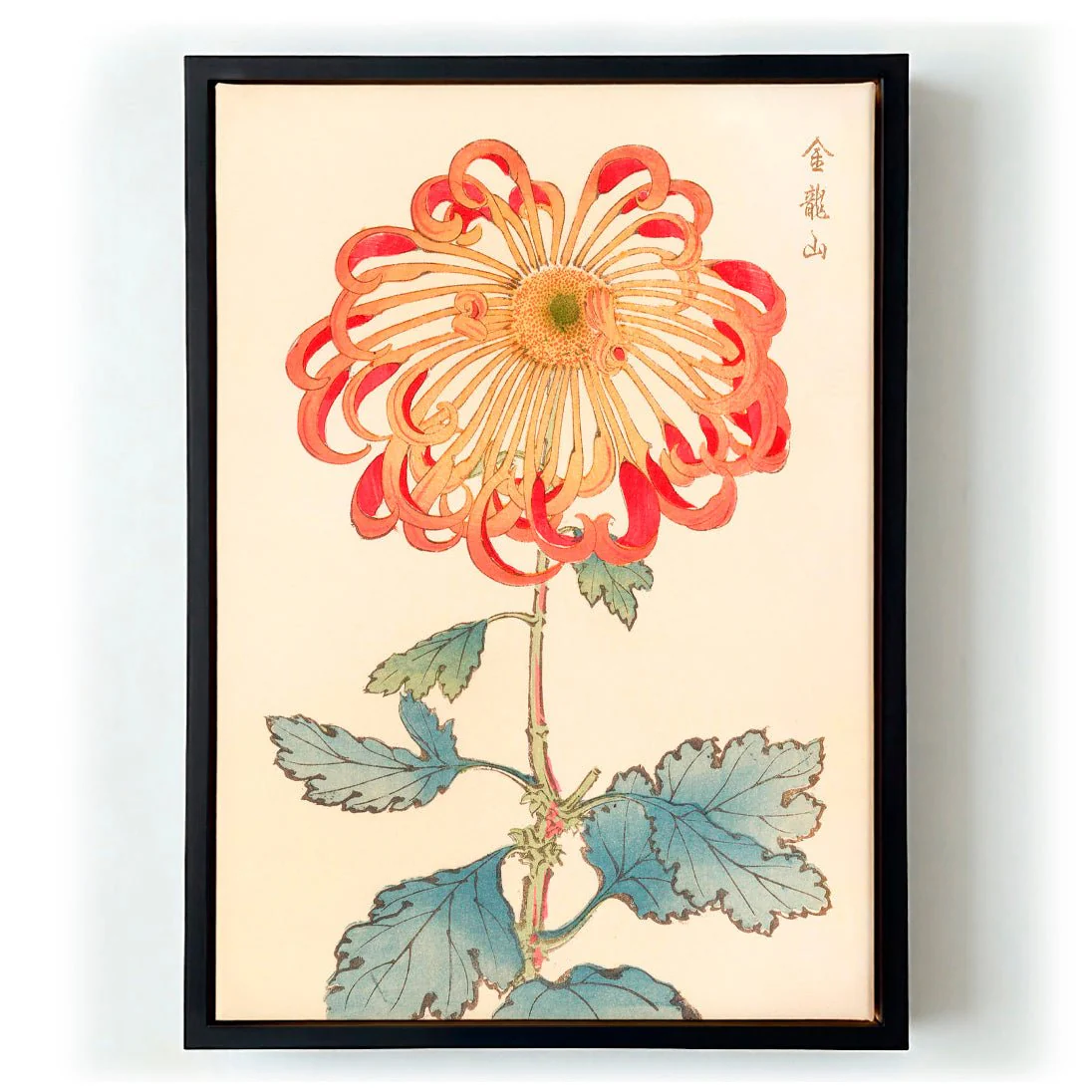 Keika hyakugiku Pl.08 1893 by Keika Hosegawa - Image 5