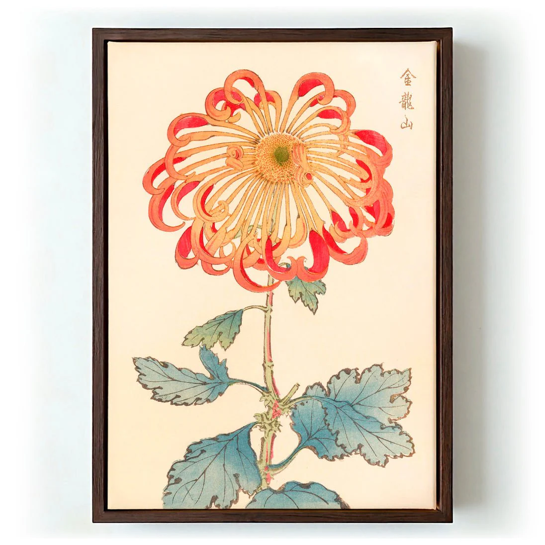 Keika hyakugiku Pl.08 1893 by Keika Hosegawa - Image 6