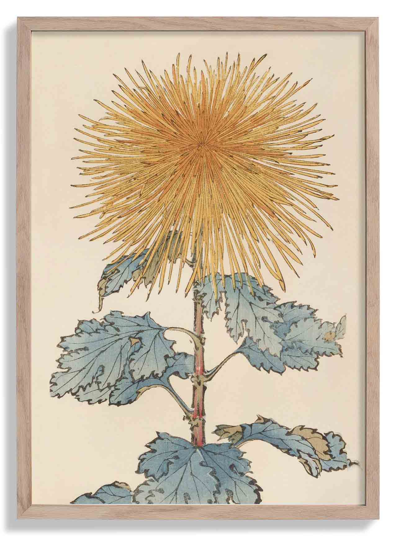 Keika hyakugiku Pl.10 1893 by Keika Hosegawa