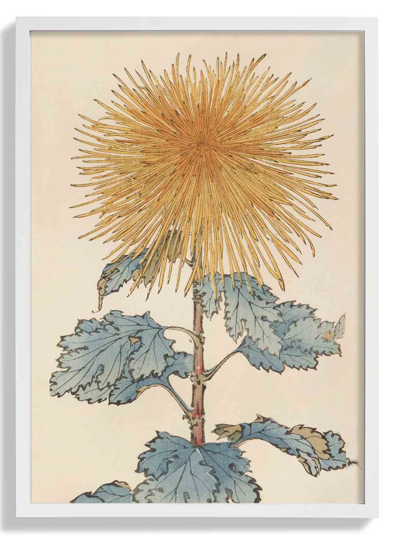 Keika hyakugiku Pl.10 1893 by Keika Hosegawa - Image 5