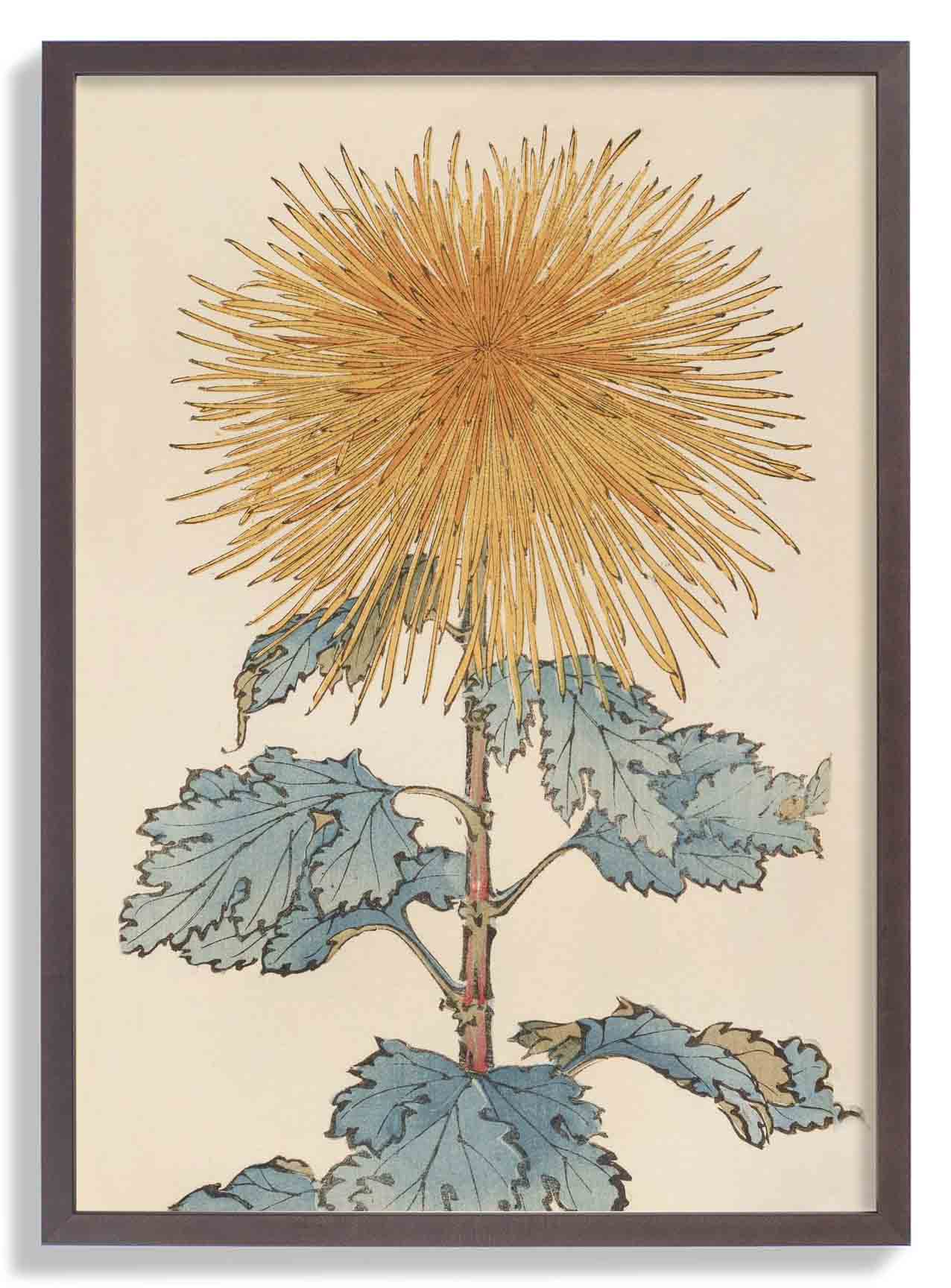 Keika hyakugiku Pl.10 1893 by Keika Hosegawa - Image 6