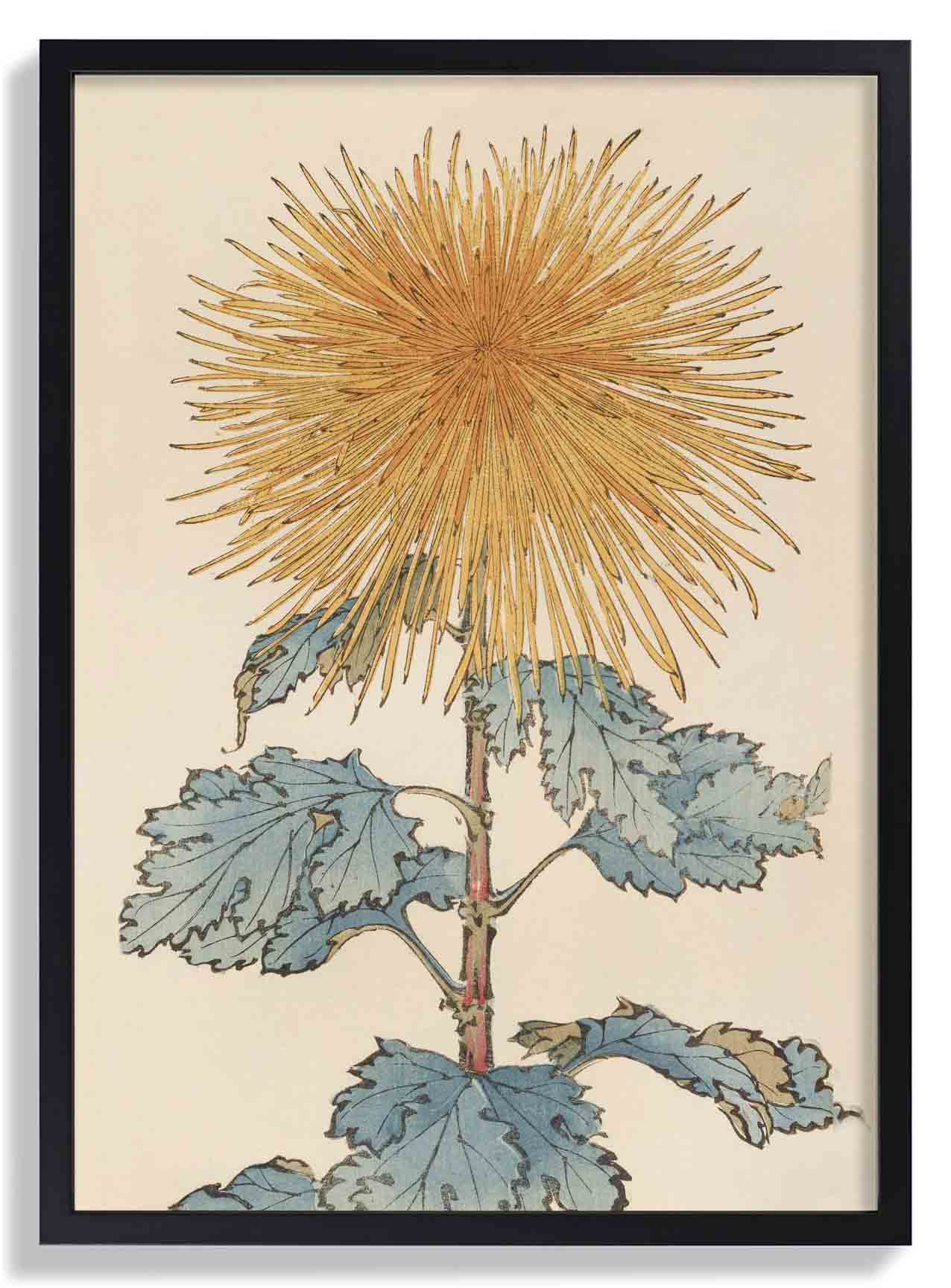 Keika hyakugiku Pl.10 1893 by Keika Hosegawa - Image 7