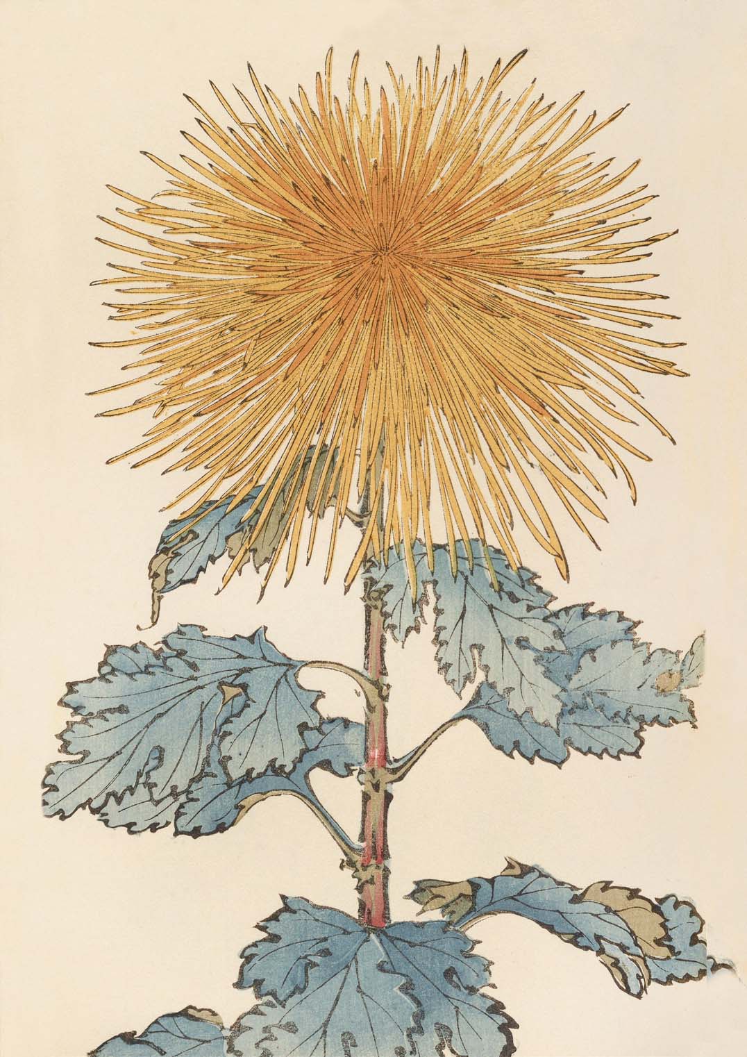 Keika hyakugiku Pl.10 1893 by Keika Hosegawa - Image 8