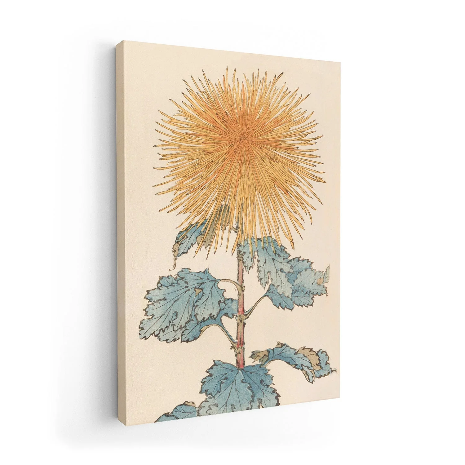 Keika hyakugiku Pl.10 1893 by Keika Hosegawa - Image 7