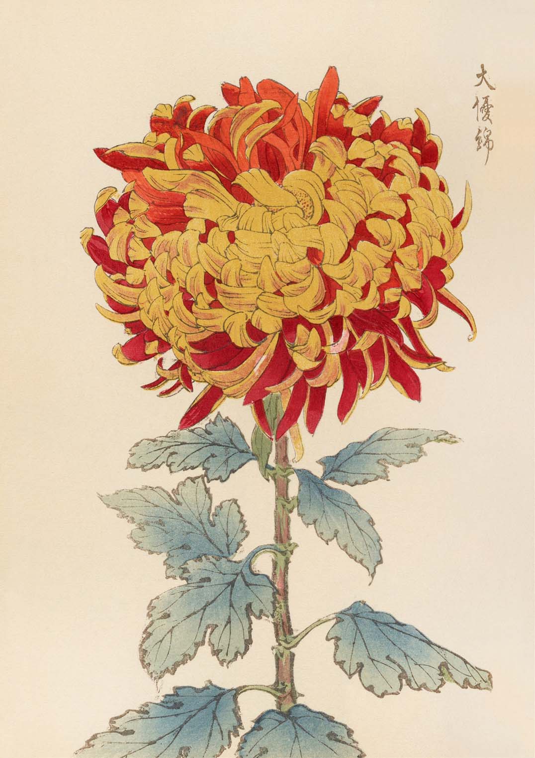 Keika hyakugiku Pl.12 1893 by Keika Hosegawa - Image 8