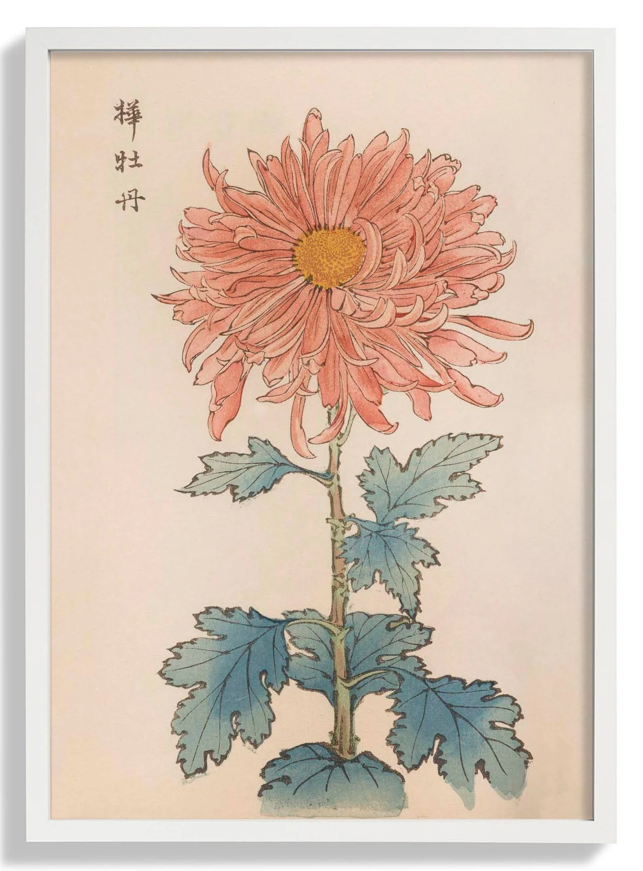 Keika hyakugiku Pl.15 1893 by Keika Hosegawa - Image 5