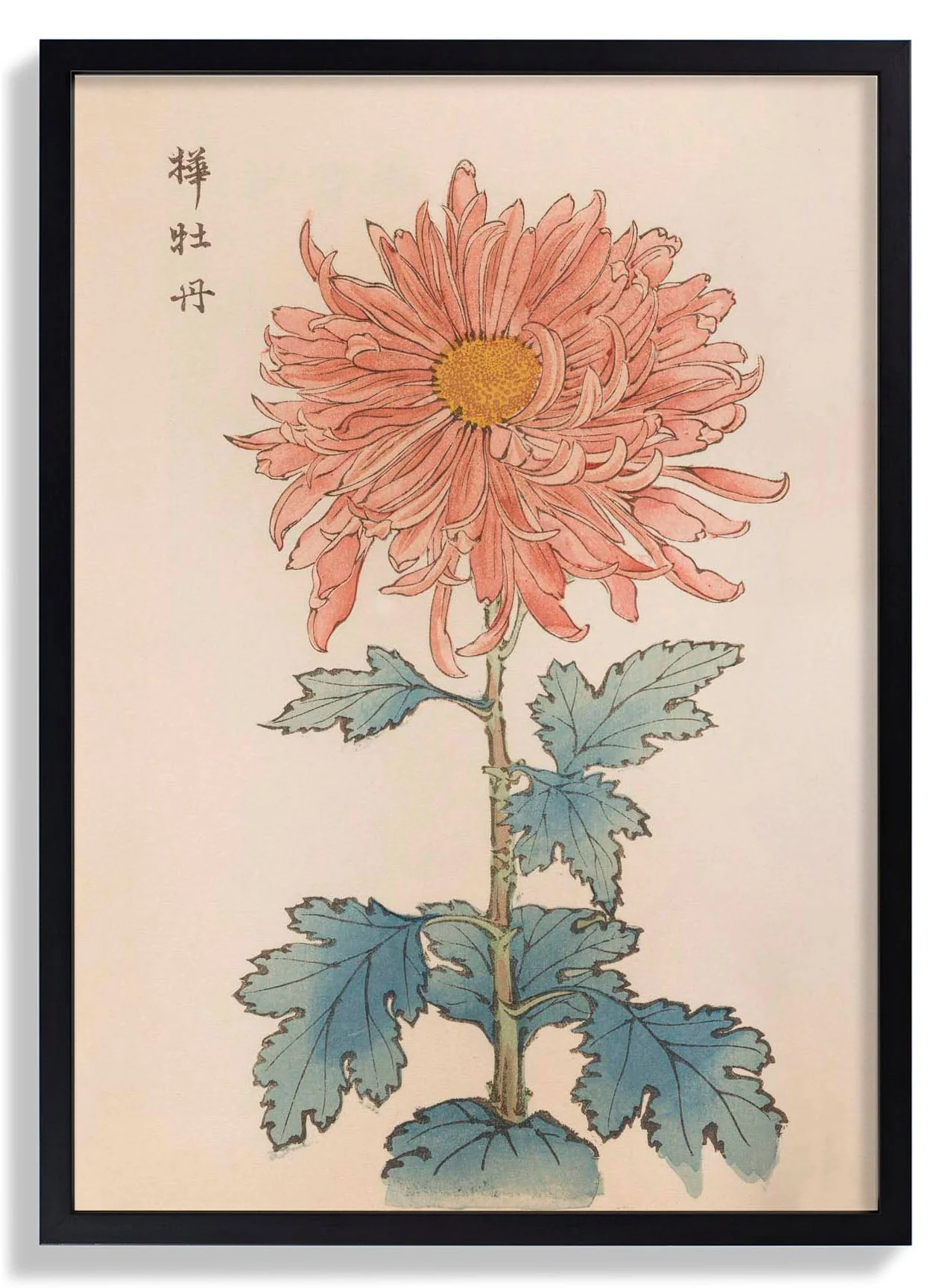 Keika hyakugiku Pl.15 1893 by Keika Hosegawa - Image 7