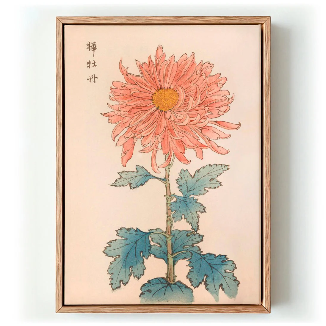 Keika hyakugiku Pl.15 1893 by Keika Hosegawa