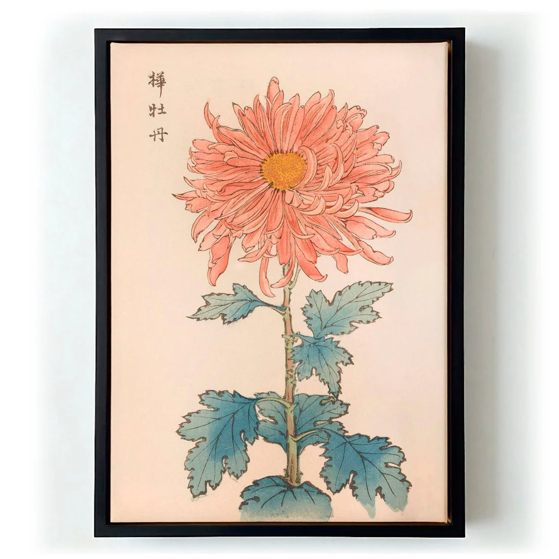 Keika hyakugiku Pl.15 1893 by Keika Hosegawa - Image 5