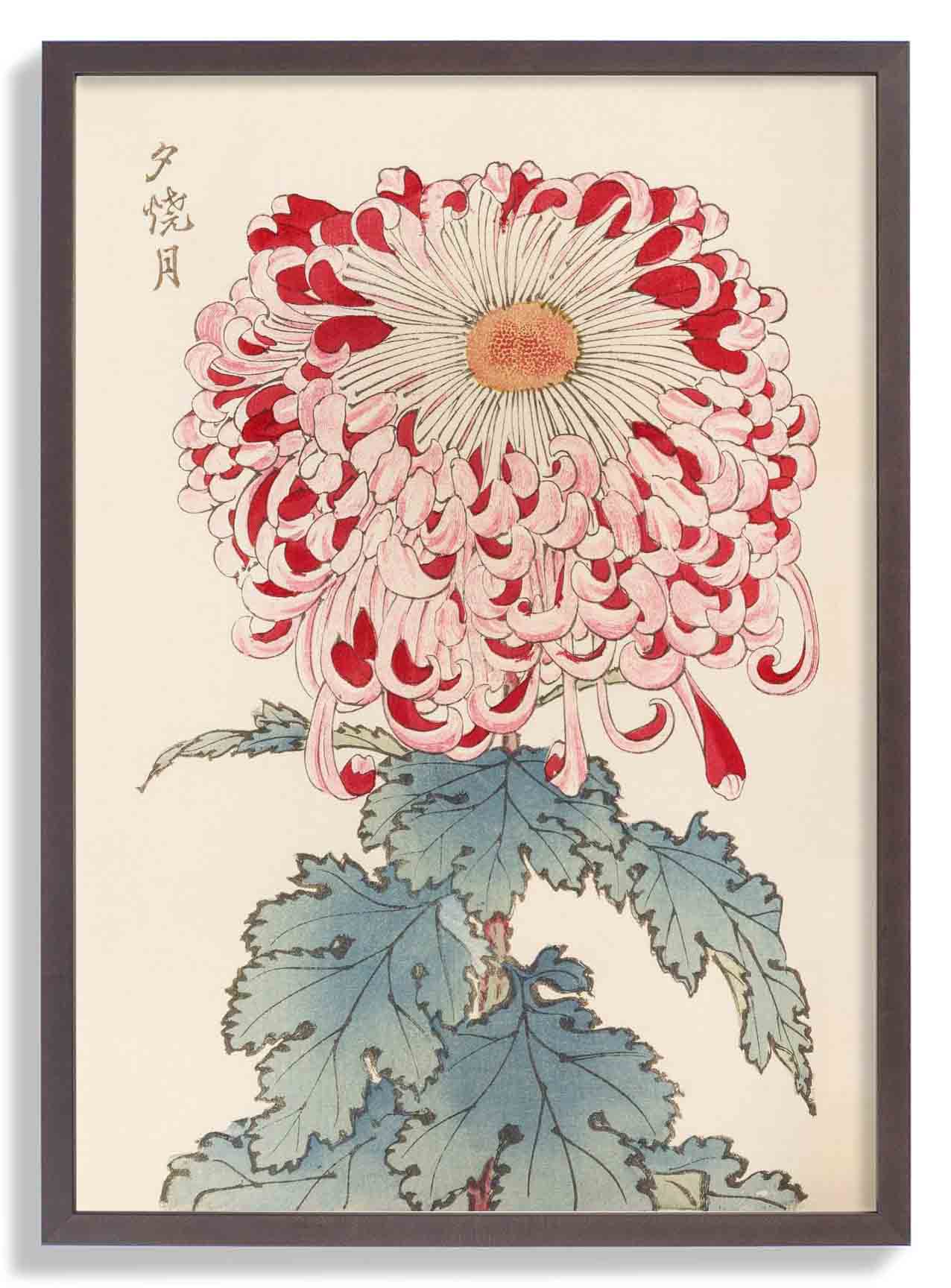 Keika hyakugiku Pl.16 by Keika Hosegawa - Image 6