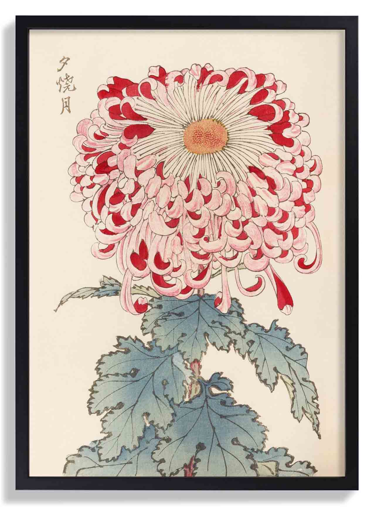 Keika hyakugiku Pl.16 by Keika Hosegawa - Image 7