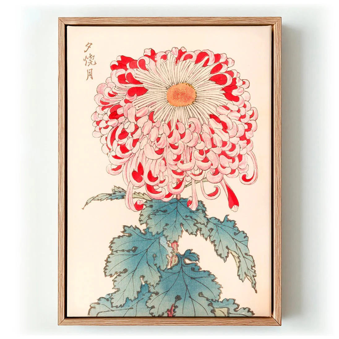 Keika hyakugiku Pl.16 by Keika Hosegawa