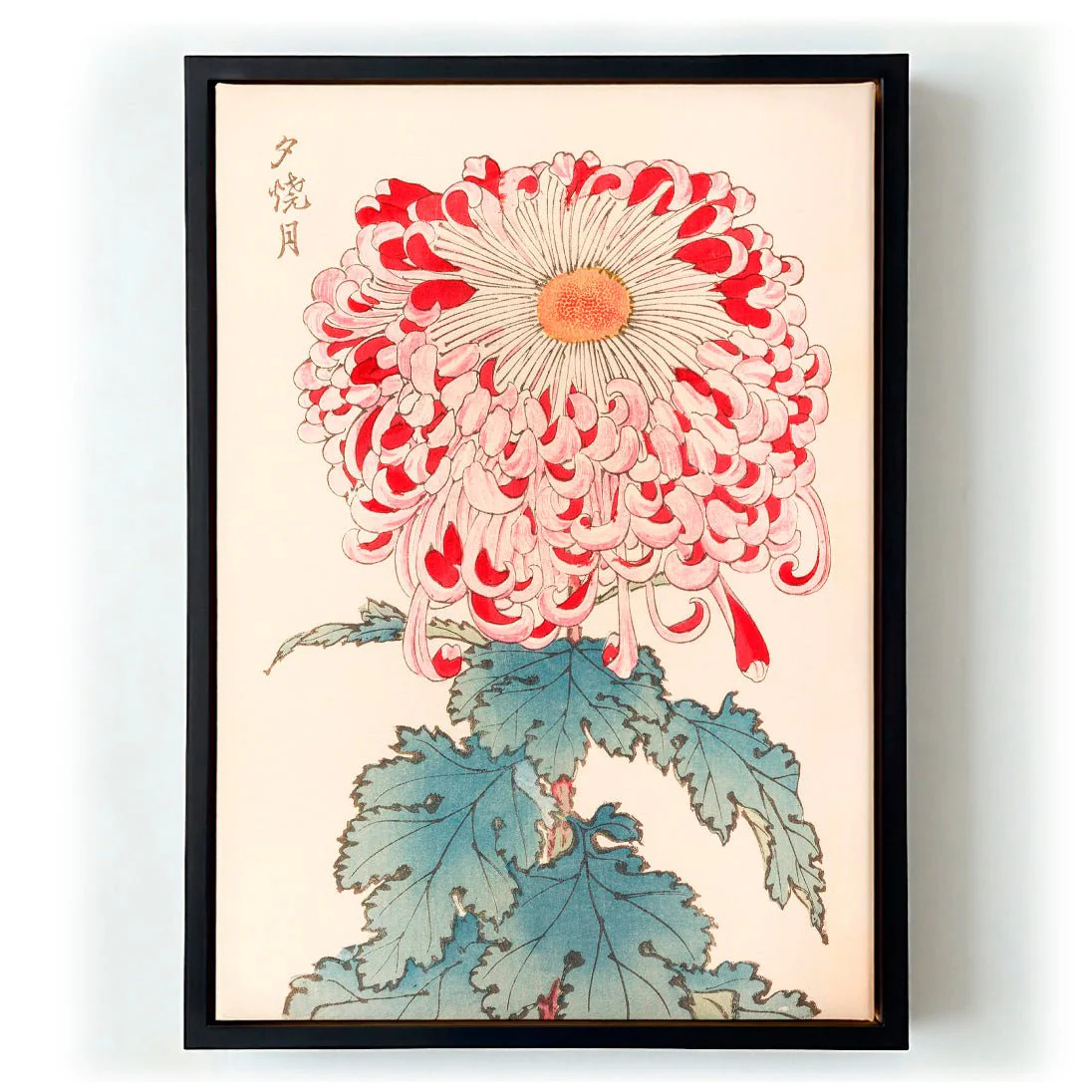 Keika hyakugiku Pl.16 by Keika Hosegawa - Image 5