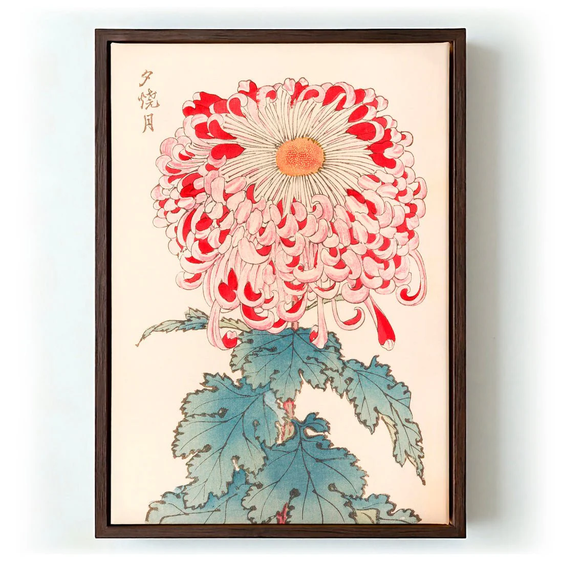 Keika hyakugiku Pl.16 by Keika Hosegawa - Image 6