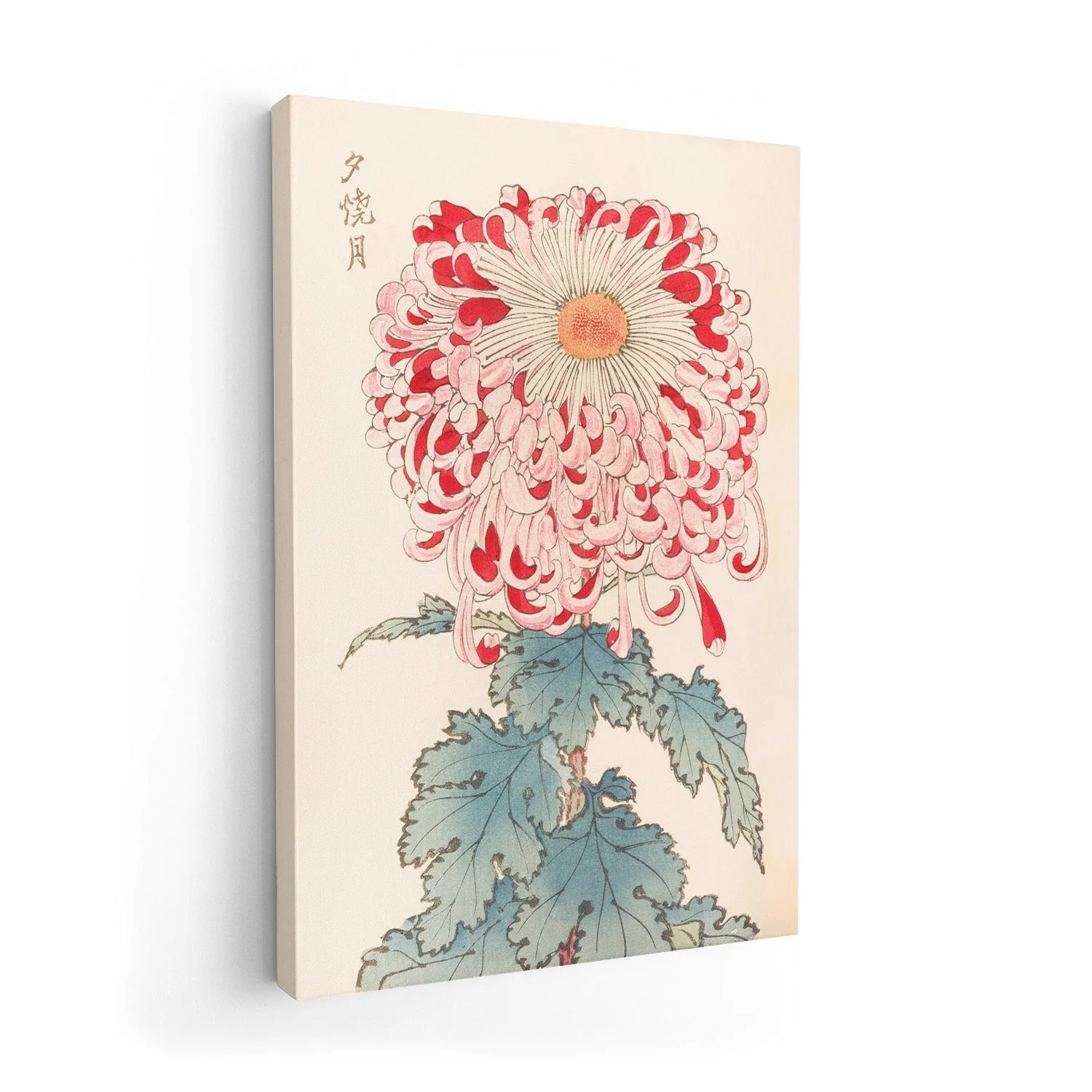 Keika hyakugiku Pl.16 by Keika Hosegawa - Image 7