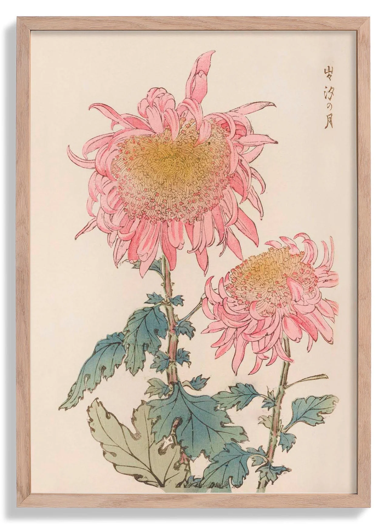 Keika hyakugiku Pl.17 1893 by Keika Hosegawa