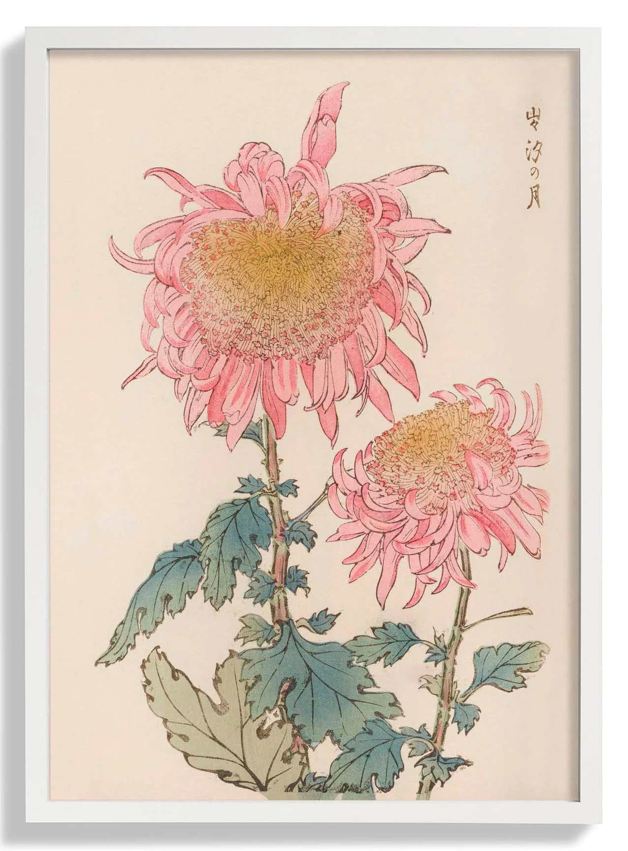 Keika hyakugiku Pl.17 1893 by Keika Hosegawa - Image 5
