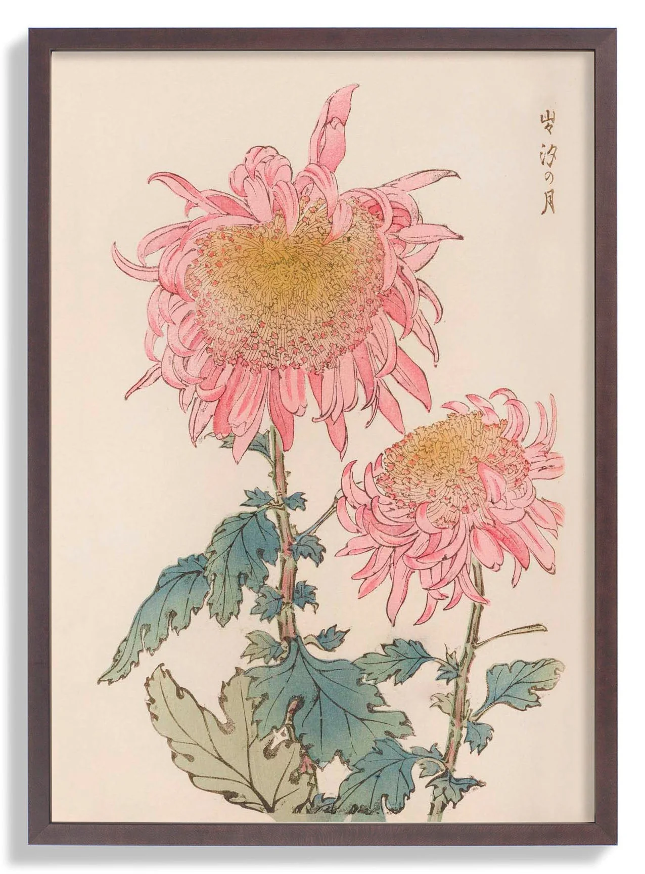 Keika hyakugiku Pl.17 1893 by Keika Hosegawa - Image 6