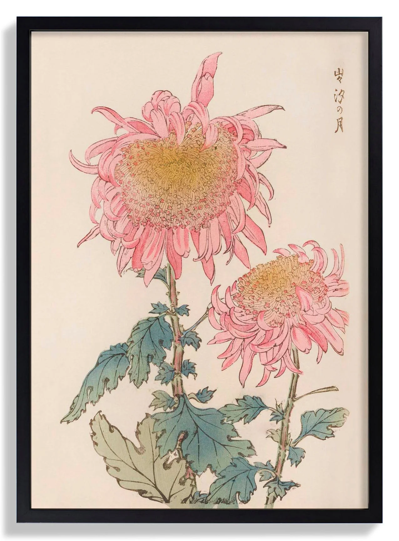 Keika hyakugiku Pl.17 1893 by Keika Hosegawa - Image 7