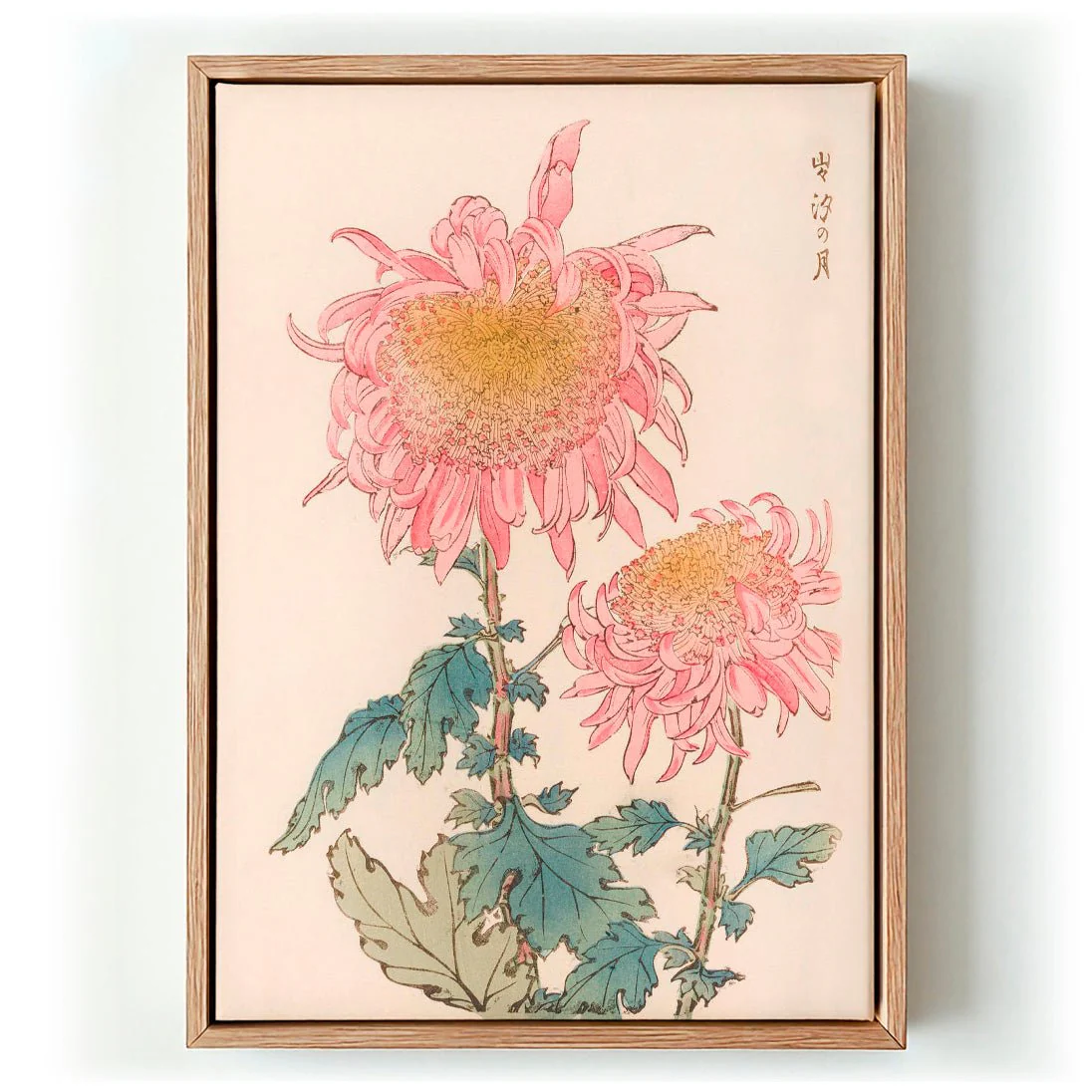 Keika hyakugiku Pl.17 1893 by Keika Hosegawa