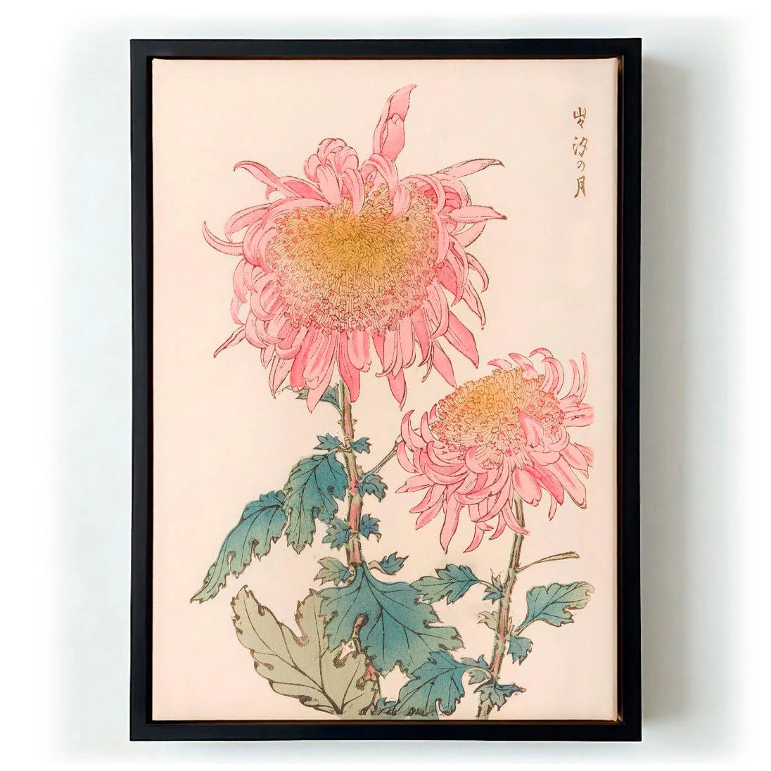 Keika hyakugiku Pl.17 1893 by Keika Hosegawa - Image 5