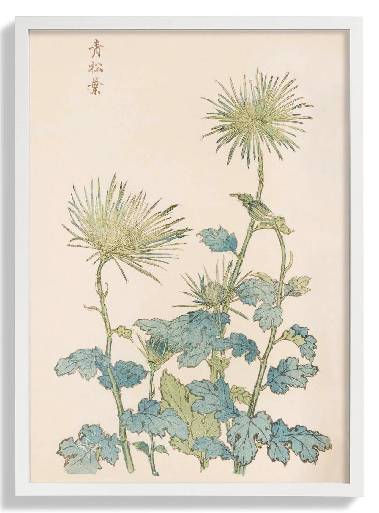Keika hyakugiku Pl.18 by Keika Hosegawa - Image 5