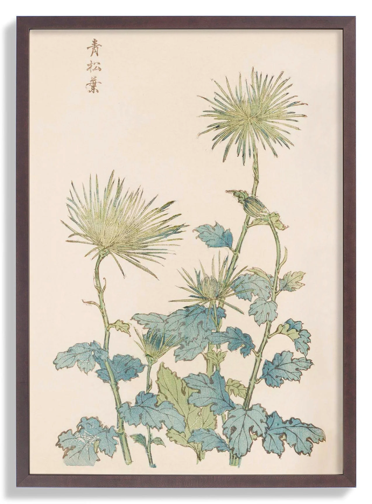 Keika hyakugiku Pl.18 by Keika Hosegawa - Image 6