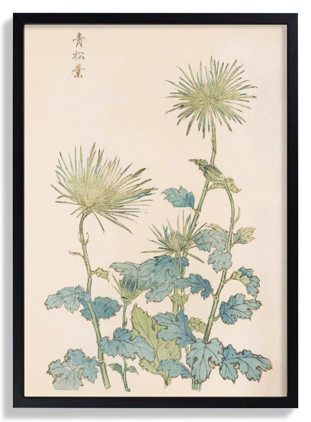 Keika hyakugiku Pl.18 by Keika Hosegawa - Image 7