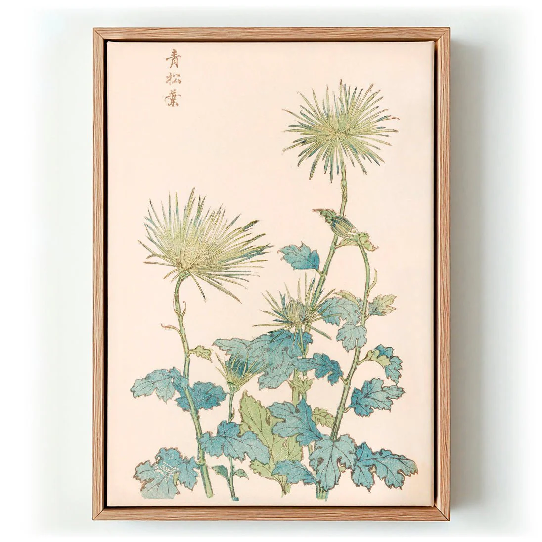 Keika hyakugiku Pl.18 by Keika Hosegawa