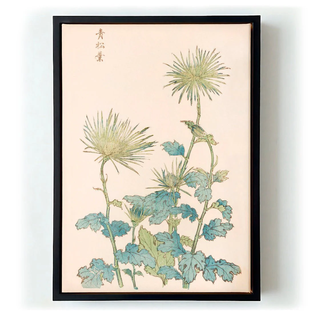 Keika hyakugiku Pl.18 by Keika Hosegawa - Image 5