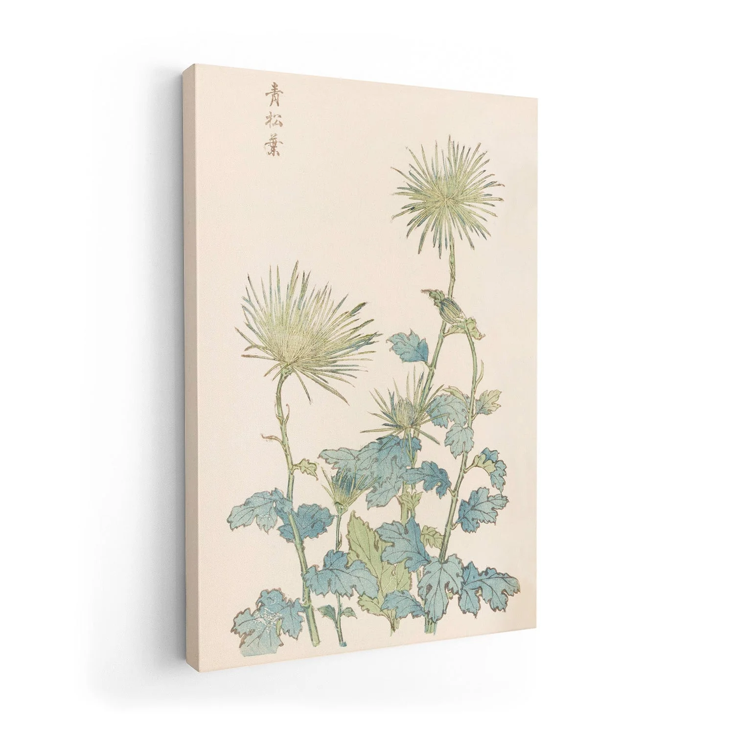 Keika hyakugiku Pl.18 by Keika Hosegawa - Image 7