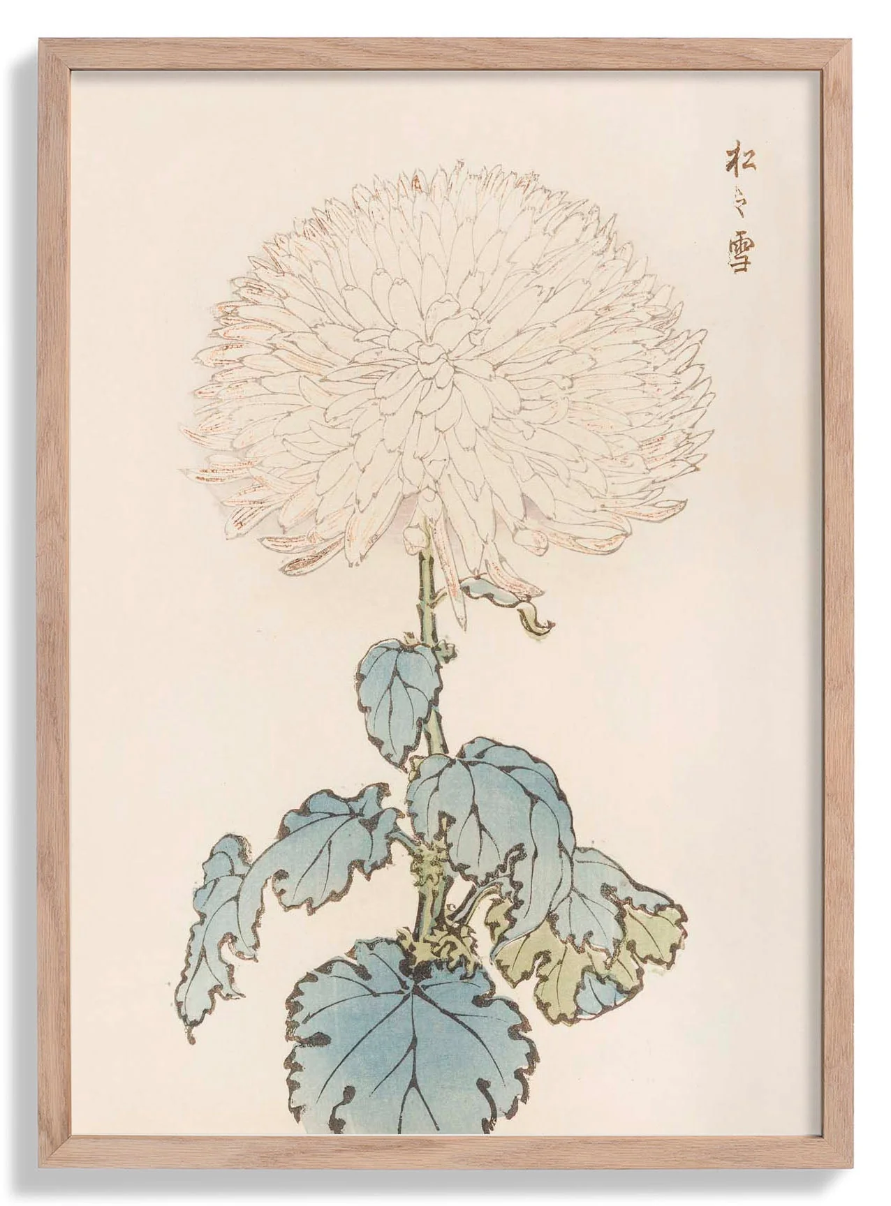 Keika hyakugiku Pl.19 by Keika Hosegawa