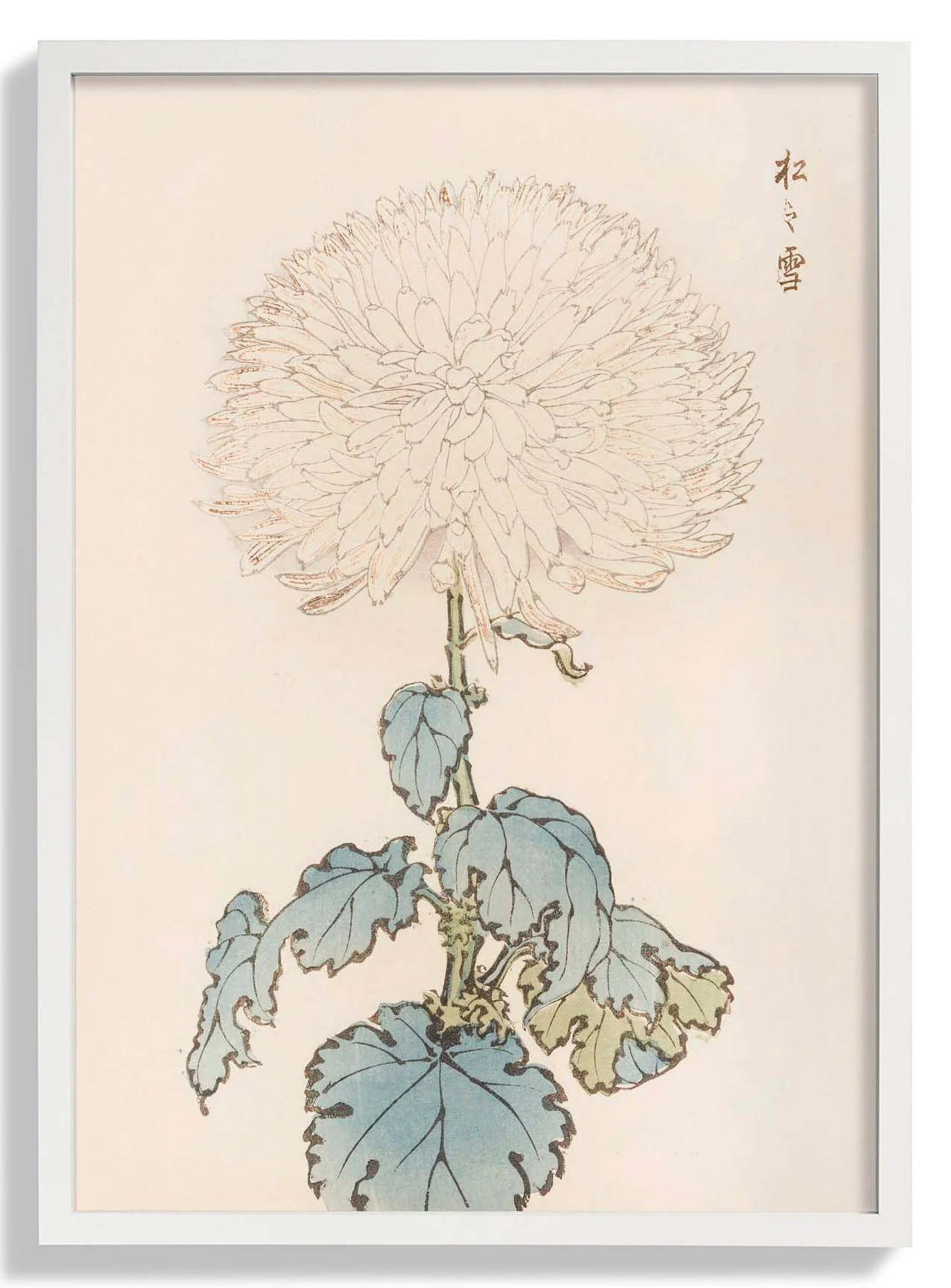 Keika hyakugiku Pl.19 by Keika Hosegawa - Image 5