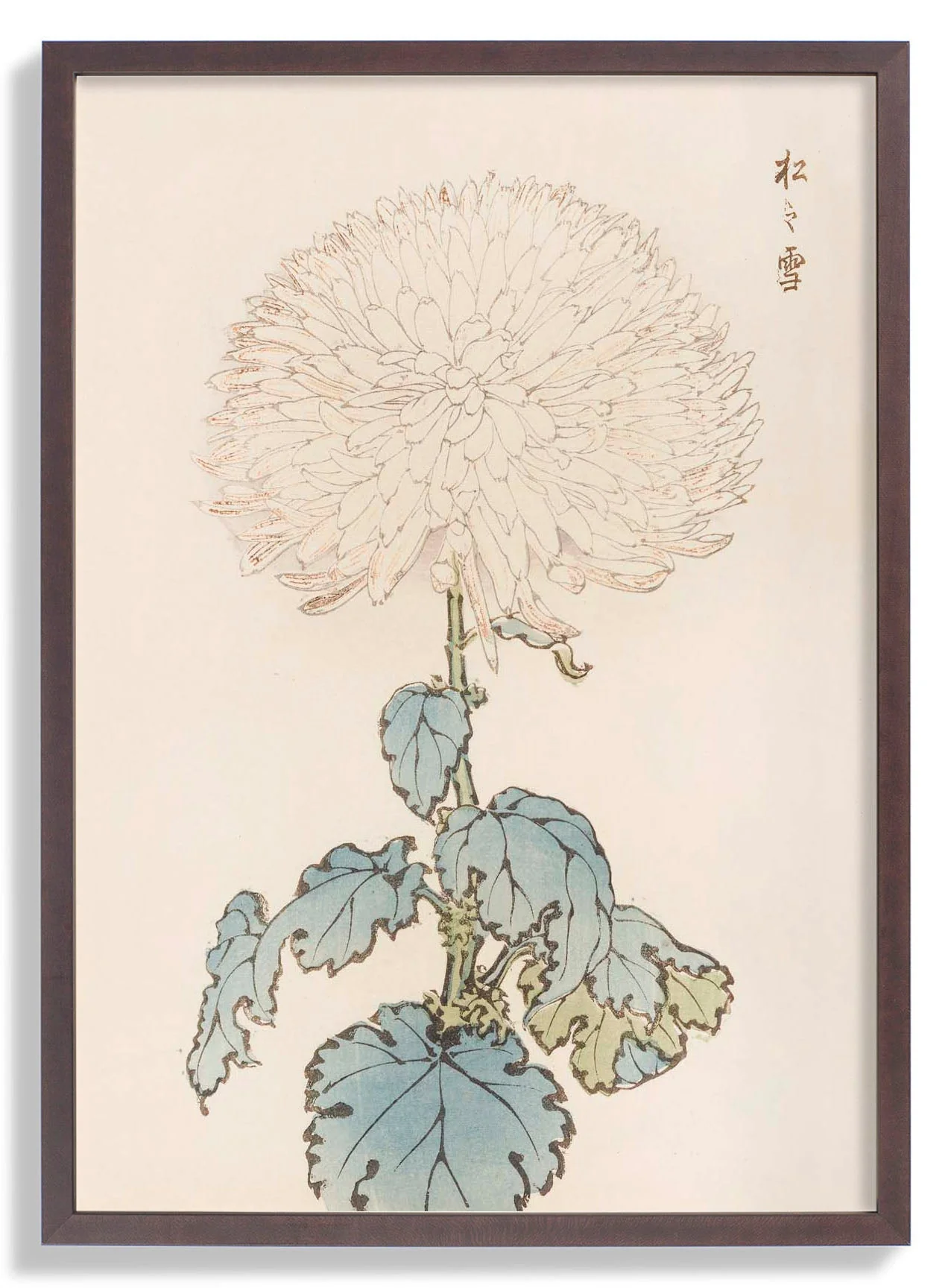 Keika hyakugiku Pl.19 by Keika Hosegawa - Image 6